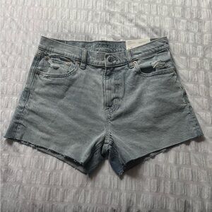 American Eagle Ex Boyfriend Denim Shorts